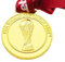 haobook Médailles de la Coupe du Monde 2022 Réplique Médaille Jules Rimet 2 avec Coffret Cadeau Col en V Ruban Rouge Souvenirs de Football Objets de Collection Sportifs Affichage