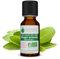 Voshuiles - Huile Essentielle Sauge Sclarée Bio 10ml - Relaxante et Apaisante - Idéal pour Diffuseur - Huiles Essentielles de Qualité - 100% Pure et Naturelle - HEBBD et Certifiée ECOCERT