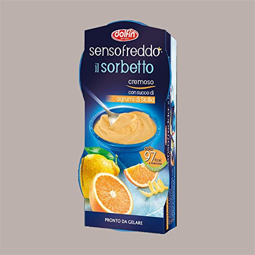 Lucgel 12 Pezzi da 100 Ml Sorbetto Cremoso alla Frutta Pronto da Gelare al Gusto Agrumi di Sicilia Senso Freddo Dolfin