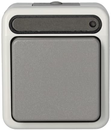 Schneider Electric MEG3106-8029 Aus/Wech Kontroll-Schuko 1p Aquastar AP WG IP44, 1 Stück, Lichtgrau, 1-polig
