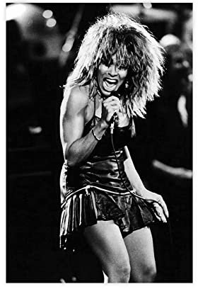 FUKITT Tina Turner Cover Poster Leinwand Poster Schlafzimmer Dekor Sport Landschaft Büro Zimmer Dekor Geschenk Unframe-Stil 30 x 45 cm