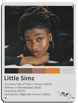 NTRECS Little Simz Poster, Blechschild, Vintage, Metall, Pub, Club, Café, Bar, Zuhause, Wandkunst, Dekoration, Poster, Retro, 30 x 40 cm