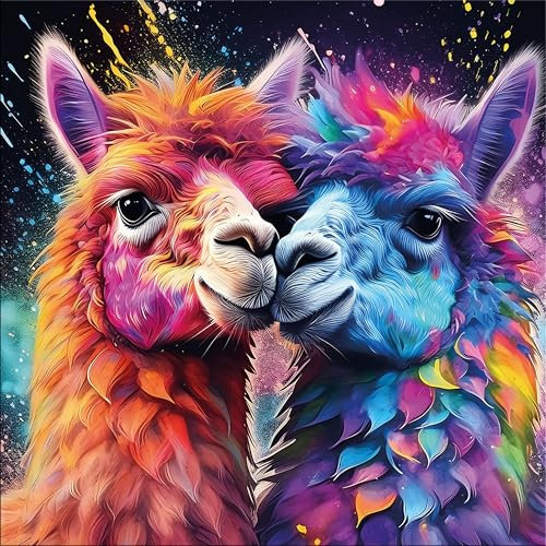 artissimo, Glasbild, 50x50cm, AG5575A, lustige Tiere: Alpaka Kiss/Lama, Wanddekoration aus Glas, Wandbild Wohnzimmer modern, bunt, lustig, witzig