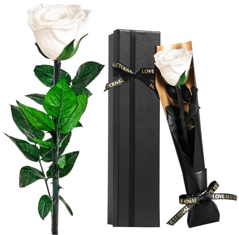 Touloube Rosa Stabilizzate Vera Eterna Bianco Fiori Regalo Donna Compleanno Natale Anniversario Per Lei, Regali Mamma Fidanzata Moglie Sorella, Ti Amoregali, Festa Della Mamma, San Valentino