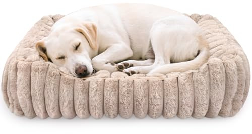 Arquiel Katzenbett Hundebett Quadratisch 70 x 70 cm Waschbar | Weiches, waschbares Haustierbett mit gepolstertem Rand und rutschfestem Boden für Katzen und kleine Hunde Grau