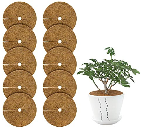 10 Stück mulchscheibe Kokosscheibe 20/30/40cm Kübelabdeckung Frostschutz,blumentopf abdeckung Kokos-Mulchscheibe Winterschutz für Topfpflanzen Kübelabdeckung Pflanzenschutz Kokos Mulchscheibe (40cm)