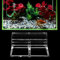 Tbest rium Abdeckscheibe TER 4Mm, rium Abdeckscheibe TER,rium Abdeng TER,rium Glasabdeng terung,10 Mm rium-Glasklammern,Draht,12 Mm Abdeng,12 Mm rium-terung,Deckel,8 Mm (5Mm)