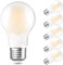 Century Light E27 LED Edison Glühbirne,Ultraeffiziente Birne,4W 850Lumen Energieklasse A Ersetzt 60W, Warmweiß 2700K Filament Leuchtmittel, A Label,Nicht Dimmbar, CRI>80, AC220V,6er