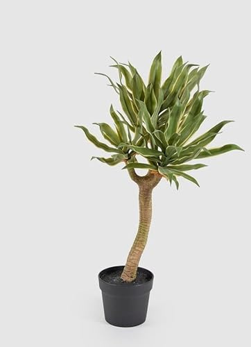 EDG Enzo De Gasperi Enzo De Gasperi Agave Chic 3 Rami Vaso Artificiale H 70 Cm Yellow Green
