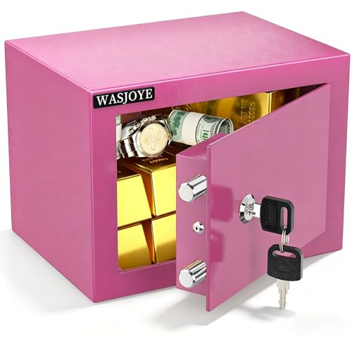 WASJOYE Mini Coffre Fort Domestique,17 * 23 * 17cm Coffre Fort Serrure à clé de Sécurité -Rosa Petit Coffre Fort pour la maison, L'argent, de Documents, de bijoux, de passeports 6.6L