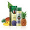 Biotique Bio Ananas Oil Control Foaming Face Cleanser normale bis fettige Haut.