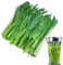 Tisane Thé vert Santé Chinois Tai Ping Hou Kui Singe Roi Thé vert de Chine (250g)