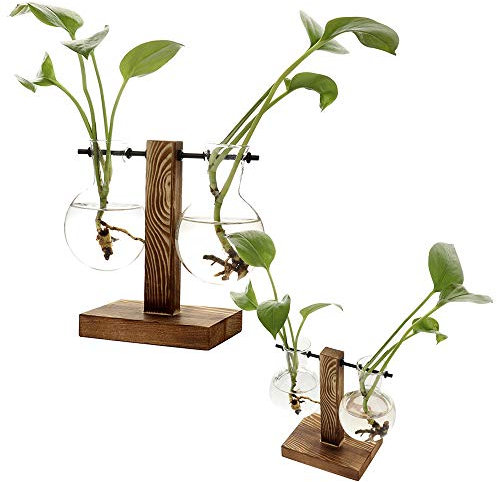 Plant Terrarium Plant Terrarium Wooden Stand Planter Bulb Glass Air Planter Bulb Glass Vase Bulb Vase Bulb Beaker Glass Vase for Hydroponics Plants Home Garden Wedding Decor(#3)