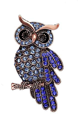 Vektenxi Broschen Pins Elegant Hohl Strass Eule Brosche für Hochzeit Prom Dunkelblau Langlebig und Nützlich