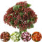 Künstliche Pflanze Beeren Kunstpflanzen Weihnachten Fruchtbeeren Kunstblumen 5 Stiele 30CM für Kranz Handwerk Blumengesteck Dekoration