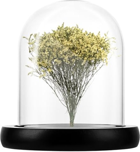 ZOFUN Cloches en Verre avec Fond en Bois Noir - 10 cm - Mini Cloche en Verre Dôme Transparent - Décoration pour Poupées, Bougies, Objets de Collection et Table
