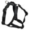 Feltmann Mopsgeschirr Hundegeschirr Soft Nylon, Uni Schwarz, 7-13kg, 20mm