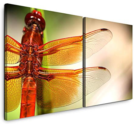 Paul Sinus Art GmbH Libelle auf Stängel 120x60cm - 2 Wandbilder je 60x60cm Kunstdruck modern Wandbilder XXL Wanddekoration Design Wand Bild