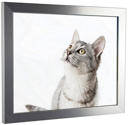 myposterframe Komfort Juno 20 x 25 cm Rahmen Alu gebürstet