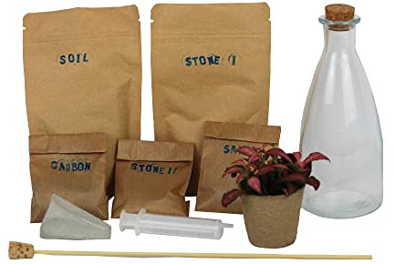 Kit di terrario per piante Naturaleza en Botella, 19 cm