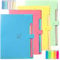4 Stück Fächermappe A4, Dokumentenmappe A4 Fächermappe Veranstalter Datei Organizer mit Etiketten 5 Fächer Erweiterbar Tragbar Dokumentenmappe für Zuhause oder Büro Dokumente Papiere