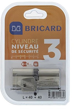 Bricard 15681 Cylindre Astral 2,9 en Laiton Nickelé 10 Pistons/2 entrées 40 + 40