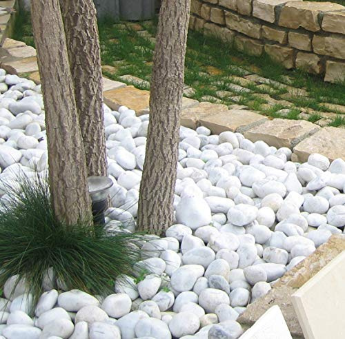 Seat Flor Weiße Carrara Schale (Sack 25 kg) Durchmesser 7/15 mm, weißer Stein für den Garten