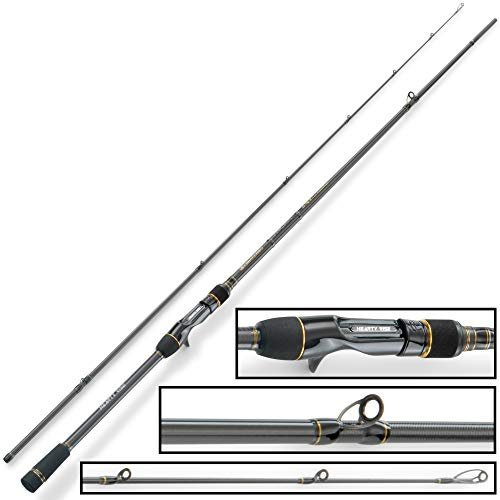 Hearty Rise Evolution III Cast 662 MC 1,99m 5-18g - Baitcaster Rute zum Barschangeln, Barschrute, Jigrute zum Raubfischangeln, Raubfischrute