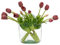 DUYONE 15pcs künstliche Tulpen Blumen, Real Touch Latex Bouquet, gefälschte Tulpen für Büro Hochzeit Party Home Küche Garten Dekoration(Dunkelviolett, 15 Stück)