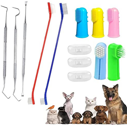 QeeHeng Kit de cepillo de dientes para perros, cepillo de dientes para gatos, incluye herramienta de eliminación de placas, adecuado para gatos y perros de todos los tamaños, 10 piezas