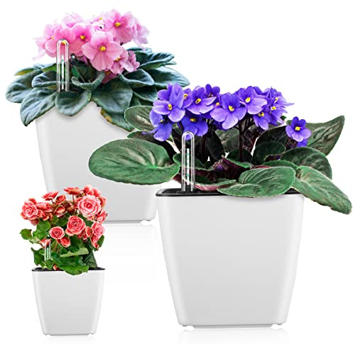 GS Garden Self Watering Planters for Indoor Plants : 5 inch 3 Pack White African Violet Self Watering Flower and Herb pots