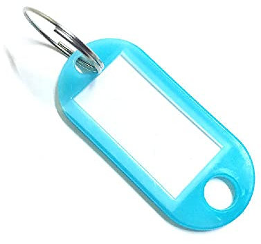 100 Stück Schlüsselanhänger, Beschriftbar Schlüsselschilder Schlüsselbund Etiketten Schlüsseletiketten für Zuhause Büros Pet ID Koffer, 10 Farben