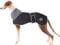 Geyecete Hunde Wintermäntel fur Windhund,Hundejacken mit plüschfutter,Wasserdichter Regenmantel Winddicht, Outdoor-Hundebekleidung mit Sicheren Reflexstreifen,fur mittel und große Hunde-Schwarz-XS