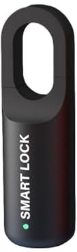 Cadenas intelligent à empreintes digitales, petit cadenas rechargeable pour casier d'école, salle de sport, cadenas biométrique sans clé à empreinte digitale, serrure tactile électronique pour valise,