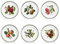 Portmeirion - Set 6 Piatti da Dessert