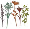 Thinlits Stanzschablonen 5 Stk - Wildblume Stielen #2 von Tim Holtz
