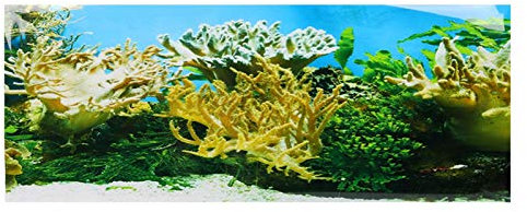 GOTOTOP Aquarium Poster,Wasserpflanzen Korallenmuster Aquarium Hintergrund Poster PVC Kleber Aufkleber Aquarium Wallpaper Dekoration(122 * 50cm)