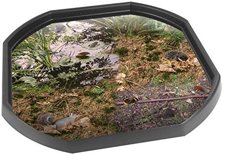 British Wildlife & Minibeasts Vinyl Tuff Tray Insert - 86 x 86 cm - Ideal for Large Tuff Spot - Tray NOT Included