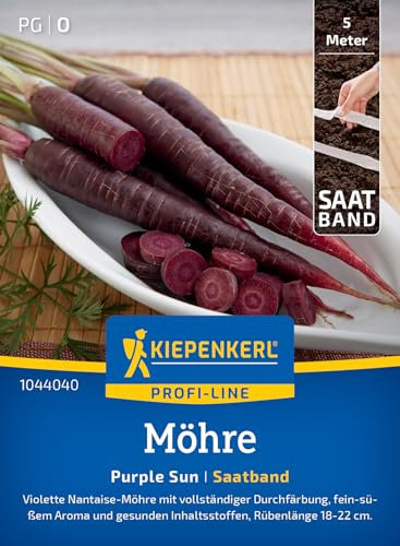 Kiepenkerl Profi-Line Möhrensamen Purple Sun 1044040 - Leuchtend violette Möhren für bunte Gartenvielfalt, fein-süßes Aroma, hoher Anthocyan-Gehalt, ideal für Freilandanbau, Gemüsesamen Saatgut