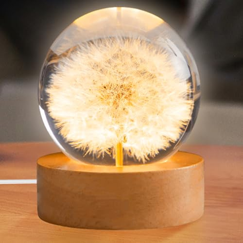 Behogan Kristallkugel Nachtlicht, 6 cm Glaskugel Lampe mit Holzsockel, USB-Lade-Blumenproben-Nachtlampe,Pusteblume im Glas, Blumen-Kristallkugel-Nachtlicht, Geschenke für Männer,Frauen, Kinder,Jungen