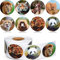 kdjsic Realistic Zoo Tier Aufkleber Safari Tier Dschungel 500 Stück pro Rolle für Kinder