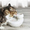 BIGYOUZI Fuente para gatos de cerámica, dispensador de agua para mascotas, Lotus Vertical para gatos, filtro automático de circulación (blanco)