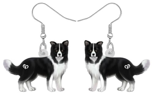 RAIDIN Acryl süße Hund Ohrringe Schmuck für Damen Mädchen Sweet Welpen Haustiere baumeln Haken Ohrringe Geschenke für Hundeliebhaber Charms