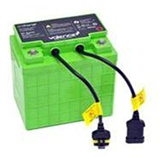 Ergotron SV Life Replacement Battery - Battery back up - 40 Ah - for StyleView EMR Cart with LCD Arm, LiFe Powered, EMR Cart with LCD Pivot, LiFe Powered