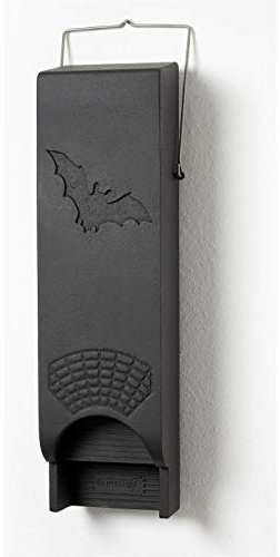 Fledermaus-Universalhöhle 1FFH