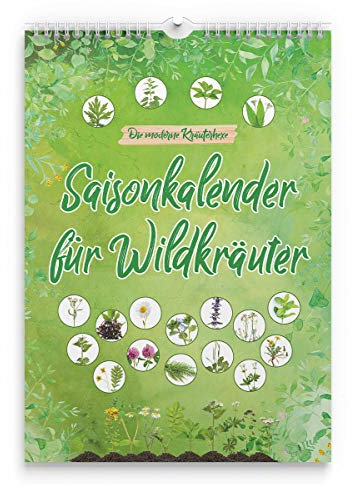 Saisonkalender für Wildkräuter - ewiger Erntekalender für Wildpflanzen - die moderne Kräuterhexe
