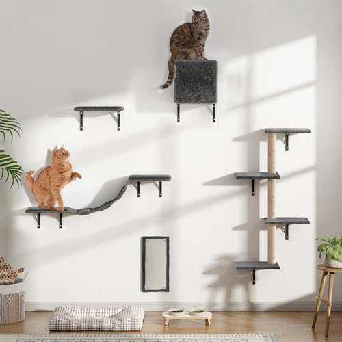 Lot de 5 murs d'escalade pour chat - Montage mural pour chats d'appartement - Avec maison pour chat, pont pour chat, colonne à gratter et planche à gratter - Peu encombrant (gris)