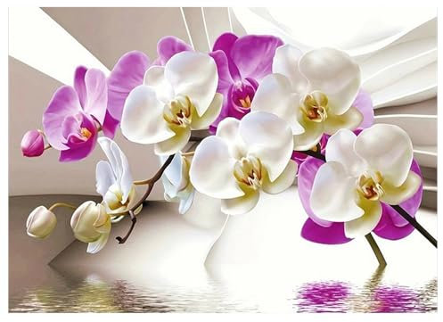 DCIDBEI Diamond Painting Orchideen 40x30cm DIY Diamant Malerei Malen nach Zahlen Orchidee Orchideen Künstlich Groß Daiments Painting Orchideen Stickerei Kreuzstich Set Erwachsene Mosaik