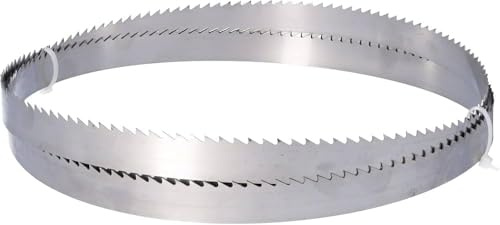 Lame per Sega a Nastro Bimetallica Professionale, Varie Misure 1140-1325 -1335-1440 -1470-1735mm, per Taglio Metalli, Acciaio, Alluminio, Ottone, Rame e Legno (2850X27X0,9 6/10)