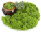 Yimomoyi Musgo Artificial para Decoración, Musgo Artificial para Belenes, Proceso Musgo Nylon Musgo Falso, Plantas Artificiales para Decoración Artesanal, Modelo de Acuario de Jardín (Claro 50G)